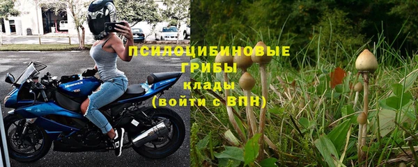 спайс Богородицк
