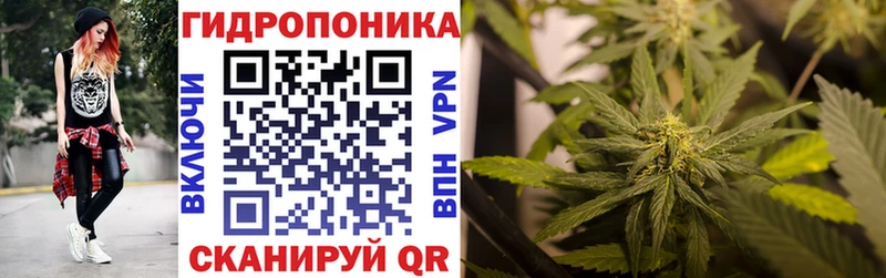 Марихуана OG Kush  дарнет шоп  Обь 